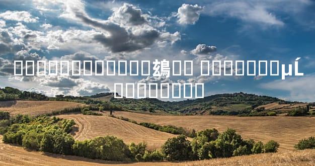 ���տ��������䲻�� ��ѧ�ӽ��µĹ�ϵƥ��ָ��